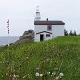 <p align=left>Phare Lobster, Cove Head